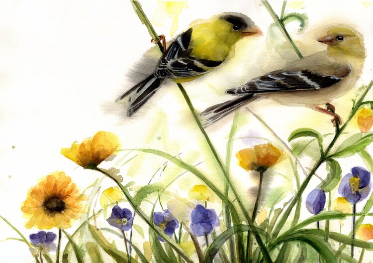 Holly Wach's 2021 lovebird watercolor paintings collection