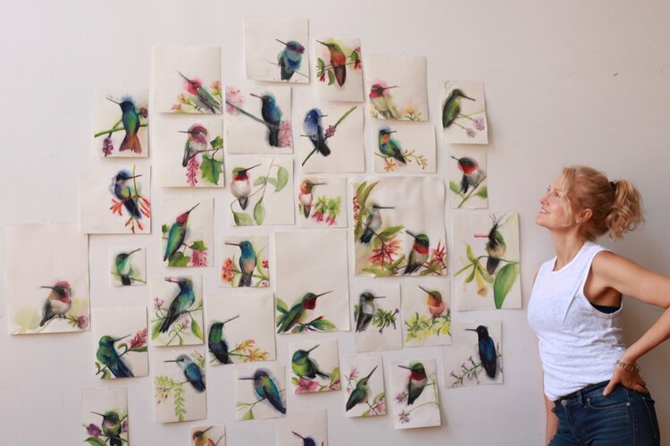 Holly Wach's "Rainbows with Wings" hummingbird watercolor paintings collection