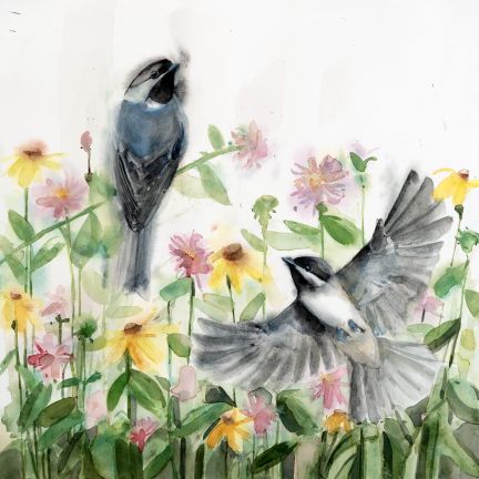 Holly Wach's archival fine art songbird watercolor prints