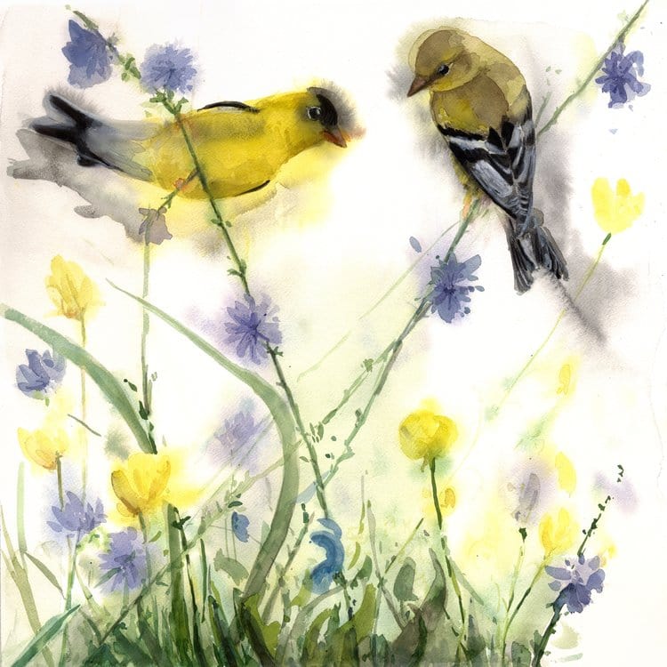 Holly Wach's original songbird watercolor painting