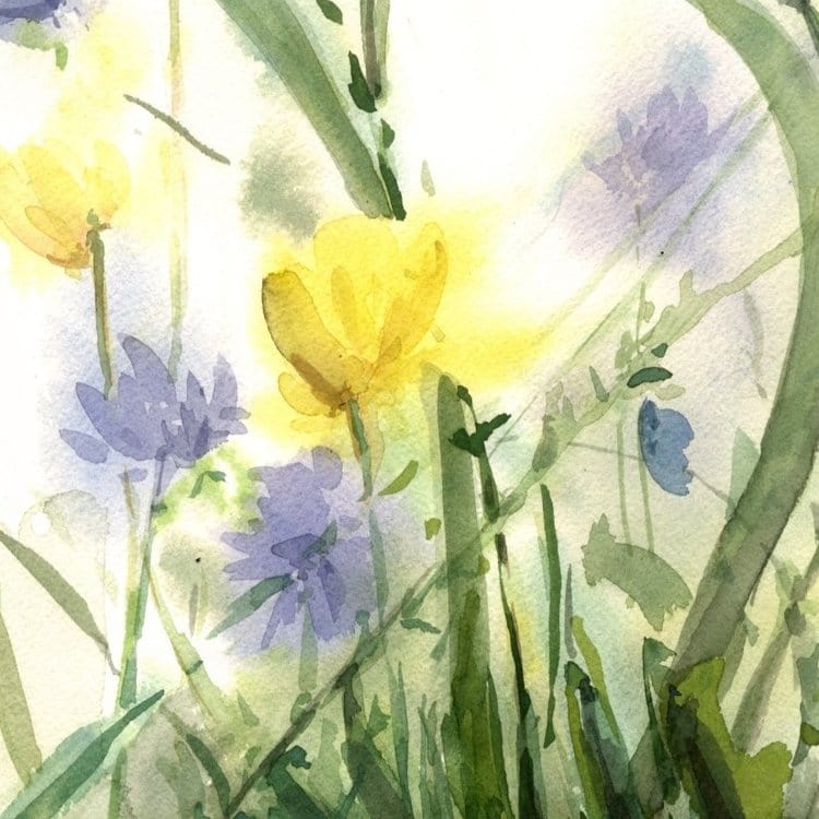 Holly Wach's original songbird watercolor painting