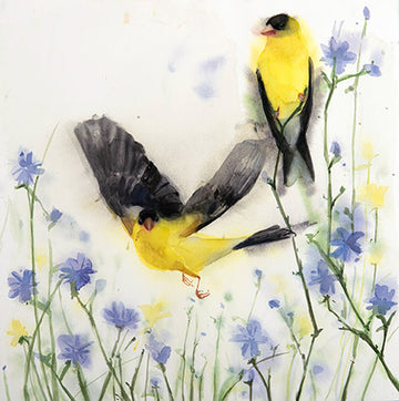 American Goldfinches songbird watercolor painting by Holly Wach