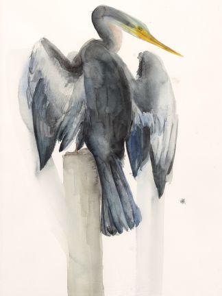 Holly Wach "Oh, to Fly!" shorebird watercolor art