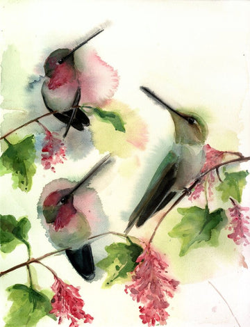 Holly Wach original hummingbird watercolor