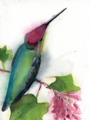 Holly Wach original hummingbird watercolor