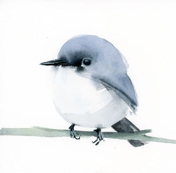 Holly Wach 'Little Wonders' baby bird watercolor prints art 