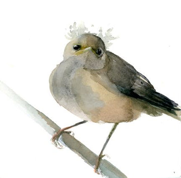 Holly Wach 'Little Wonders' baby bird watercolor prints art 