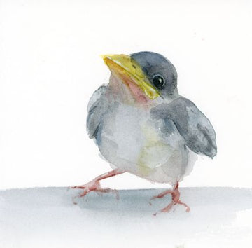 Holly Wach 'Little Wonders' baby bird watercolor prints art 