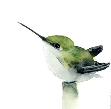 Holly Wach 'Little Wonders' baby bird watercolor prints art 