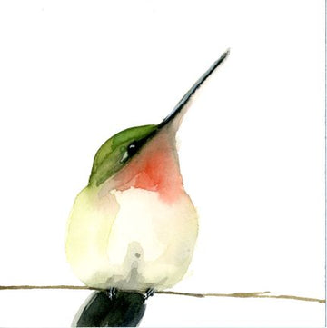 Holly Wach 'Little Wonders' whimsical bird watercolor prints