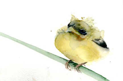Holly Wach "Little Wonders” original baby bird watercolor painting