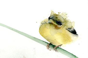 Holly Wach "Little Wonders” original baby bird watercolor painting