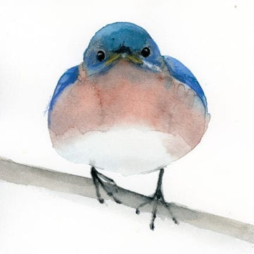 Holly Wach "Little Wonders" Eastern Bluebird baby bird watercolor prints