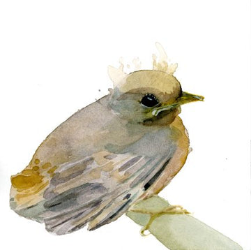 Holly Wach "Little Wonders” original baby bird watercolor painting