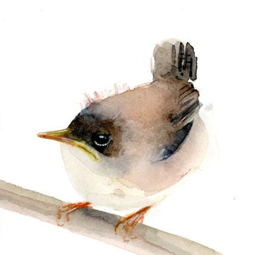 Holly Wach bird watercolor art