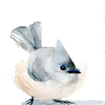 Holly Wach's original Baby Bird Watercolor Paintings