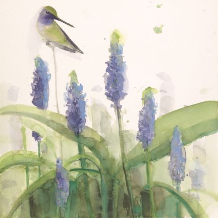 Holly Wach "Songbirds & Friends" songbird watercolor art