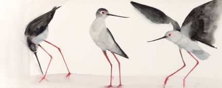 Holly Wach "Oh, to Fly!" shorebird watercolor art