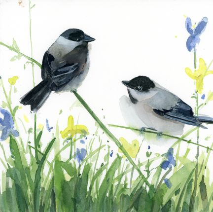 Holly Wach "Songbirds & Friends" songbird watercolor prints
