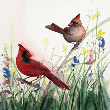 Cardinal Pair watercolor bird painting by Holly Wach