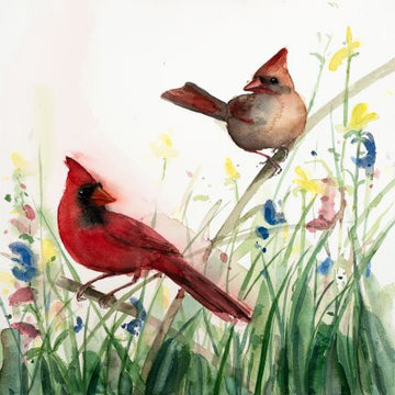 Holly Wach "Songbirds & Friends" songbird watercolor prints