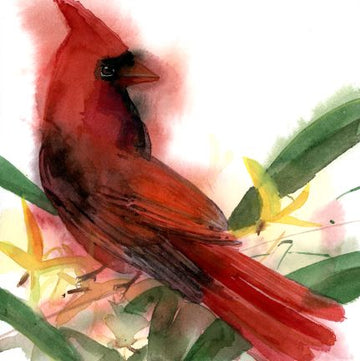 Holly Wach "Songbirds & Friends" songbird watercolor prints
