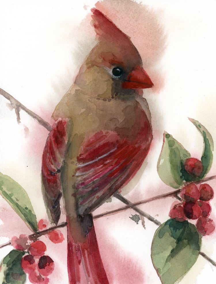 Holly Wach watercolor bird greeting cards