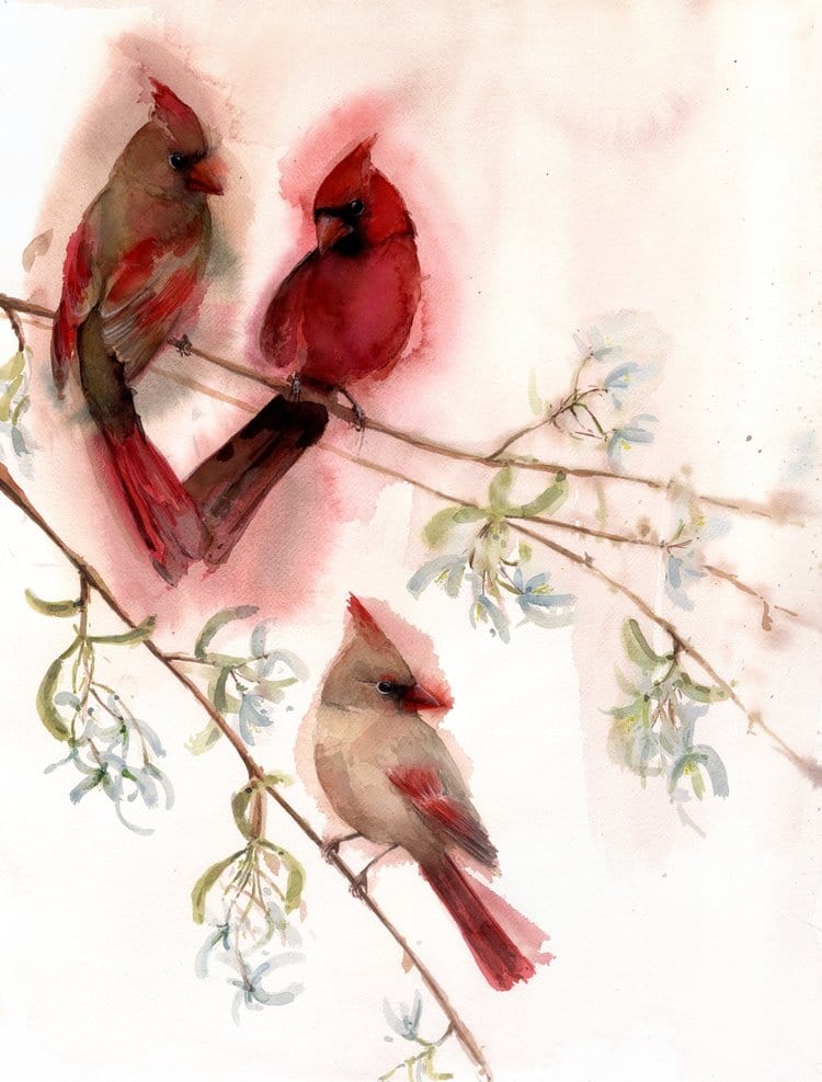 Holly Wach's original songbird watercolor painting of cardinals