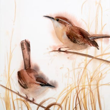 
Holly Wach "Songbirds & Friends" songbird watercolor prints


