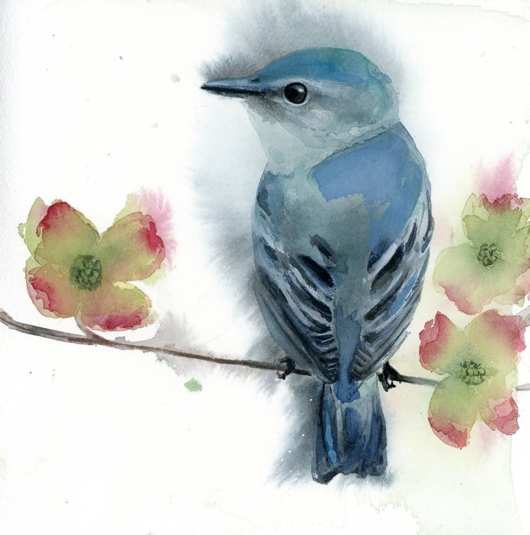 Holly Wach's original songbird watercolor painting
