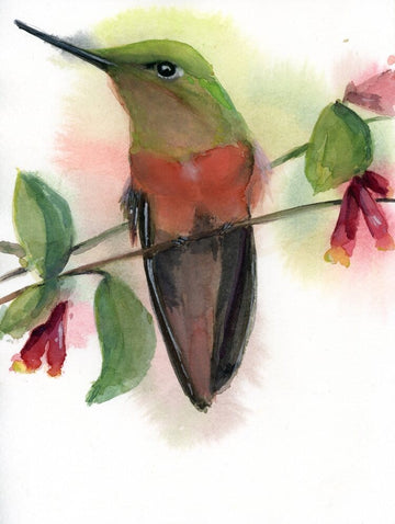 Holly Wach original hummingbird watercolor