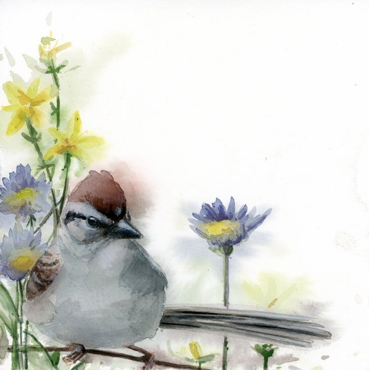 Holly Wach's original songbird watercolor painting