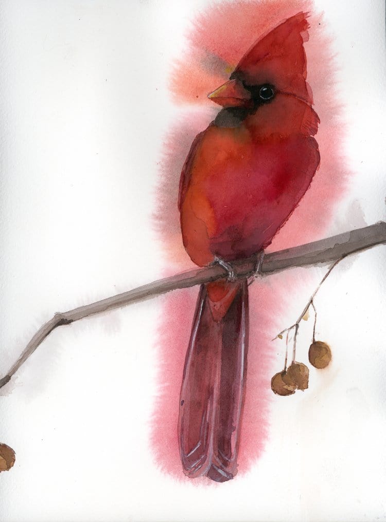 Holly Wach watercolor bird greeting cards