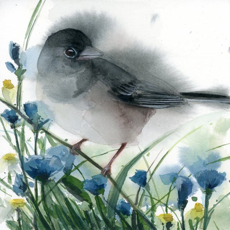 Holly Wach's original songbird watercolor painting