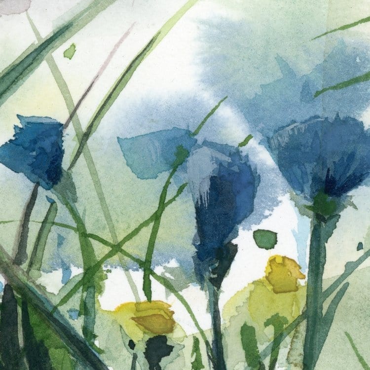 Holly Wach's original songbird watercolor painting