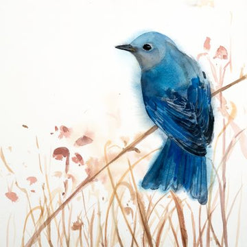Holly Wach "Songbirds & Friends" songbird watercolor prints