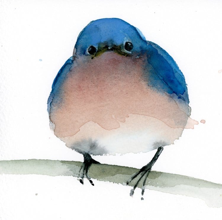 Holly Wach watercolor bird greeting cards