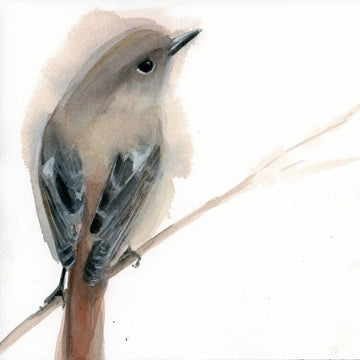 Holly Wach's original songbird watercolor painting of an English robin