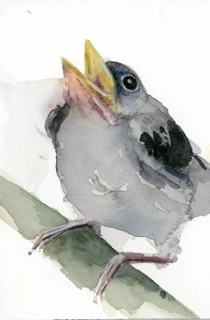 Holly Wach "Little Wonders” original baby bird watercolor painting