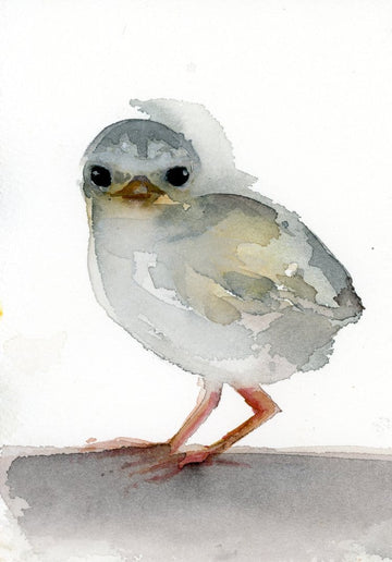 Holly Wach "Little Wonders" baby bird watercolor prints