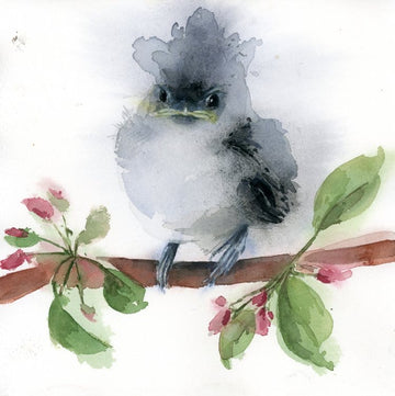 Holly Wach's original songbird watercolor painting of a Fledging Tufted Titmouse