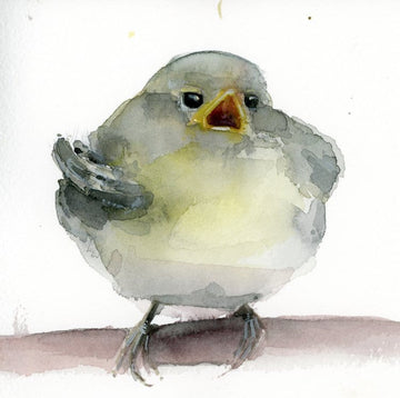 Holly Wach "Little Wonders" baby bird watercolor prints