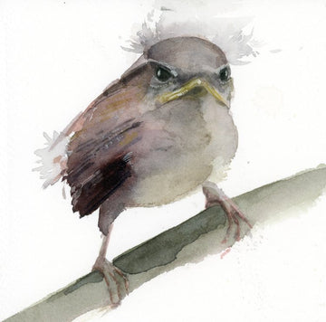 Holly Wach "Little Wonders" baby bird watercolor prints