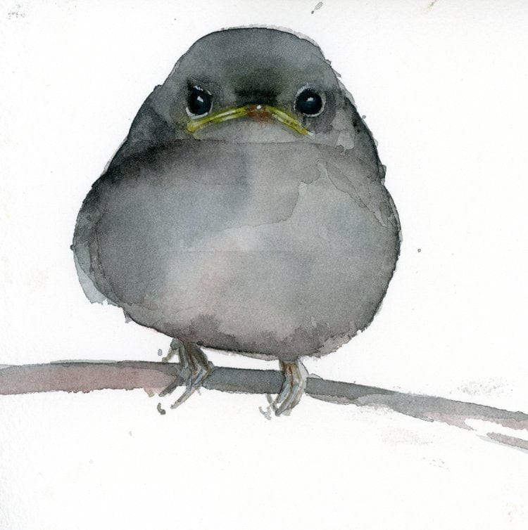 Holly Wach "Little Wonders” original baby bird watercolor painting