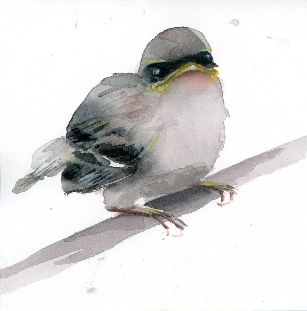 Holly Wach "Little Wonders” original baby bird watercolor painting