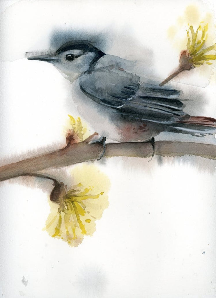 Holly Wach's original songbird watercolor painting