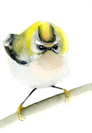 Holly Wach's original Baby Bird Watercolor Paintings