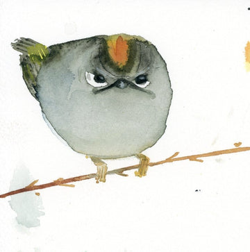 Holly Wach watercolor bird greeting cards