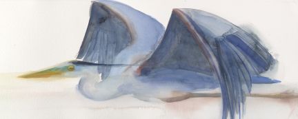 Holly Wach "Oh, to Fly!" shorebird watercolor art