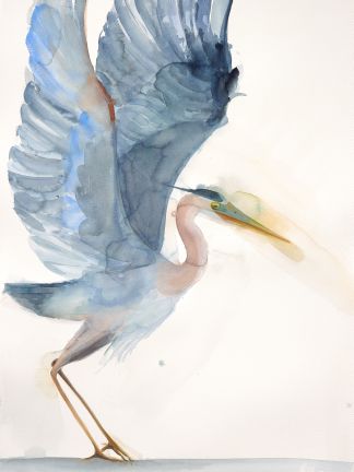 Holly Wach "Oh, to Fly!" shorebird watercolor art